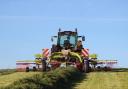 Homegrown silage will be many farmers' answer to the cost squeeze on animal feed this year