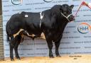 Brennan Panther realised 18,000gns for J and M Walker