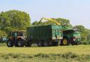 The amount of silage grown for feeding cattle during the winter can be reduced by relying more on deferred grazing