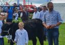 Archie McMillan winning first place with his Galloway heifer calf at Stewartry Show, and second place in the young handlers – not bad for a four-year-old. See our full Stewartry Show report on page 14
