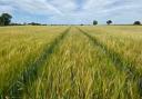 Arable land is currently worth an average of £9517/acre