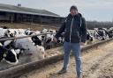 Andrii Pastushenko on his farm just 20kms near Russian occupied Kherson.