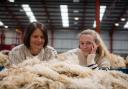 Flock to the fashion with British wool