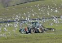 A Co Durham farming business has been fined after land spreading polluted a nearby stream