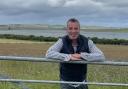 Donald Henderson from Caithness has noticed a huge difference since he started AIing his suckler cow herd