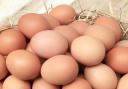 Sunrise Eggs is set to compensate over £240,000