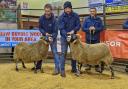 Champion left, a ewe from Hugh Rorison, Clonrae shown by Michael Robertson and reserve was a gimmer from Danny Hair, Drumbreddan, pictured with the judge Ian Campbell