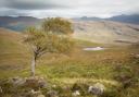 At present, just 3% of Scotland's land is community-owned