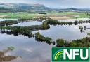 The NFU has criticised the recovery fund