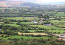 The EFS offers farmers in NI a five-year agreement to deliver environmental measures