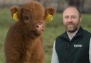 Cattle inspections shouldnt happen during calving