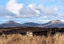 Isle of Skye's Feorlig Sheep Stock Club Beauty