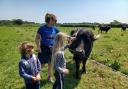 Open Farm Sunday is in its 18th year