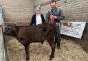 Champion calf came from D J Livingstone, Kirtlevale, Gretna, which later sold for £600