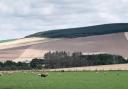 Livestock, Grassland, Arable and Forest Ref:RH120822071  Rob Haining / The Scottish Farmer