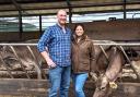 Jonny Lochhead and Jessica Millar are seeing increased demand for Brown Swiss genetics from their show winning Kedar herd