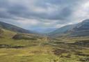 The Angus Glens will be transformed at landscape scale. Pic: FLS