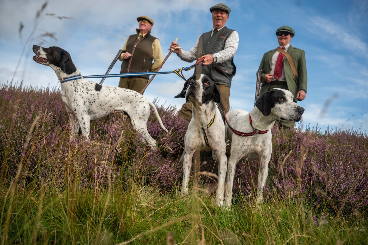 Roxburghe Estates in the Scottish Borders marked the start of the season with some walked-up shooting on the first day