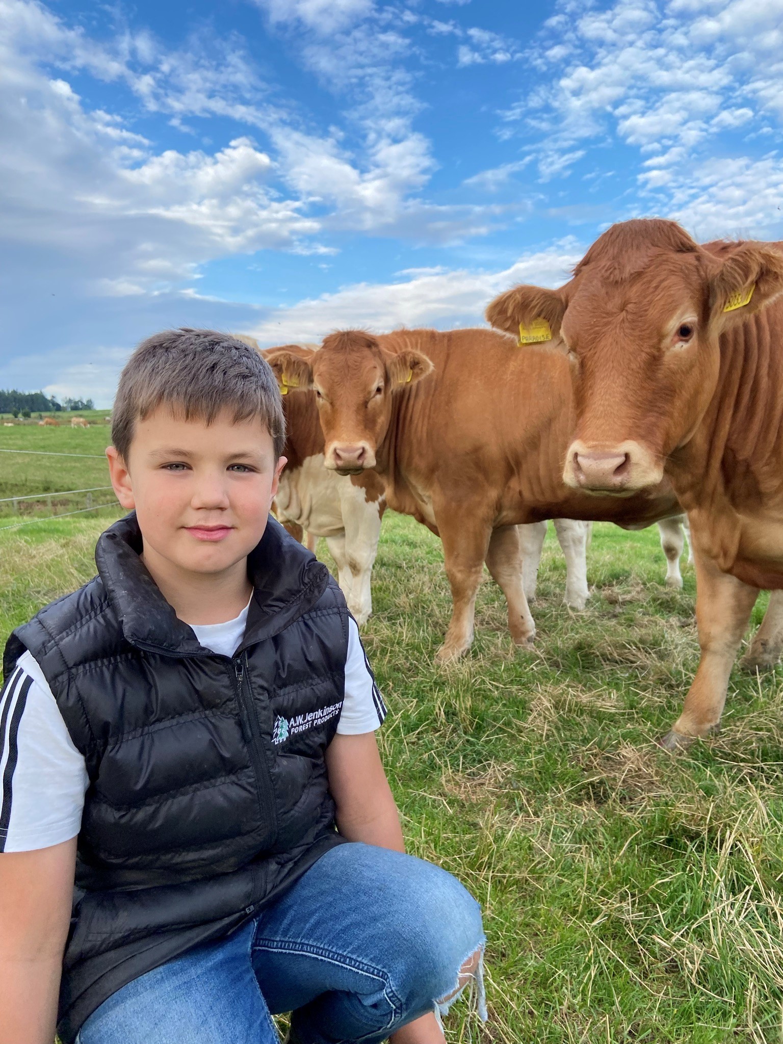 Olly at home with the cattle 