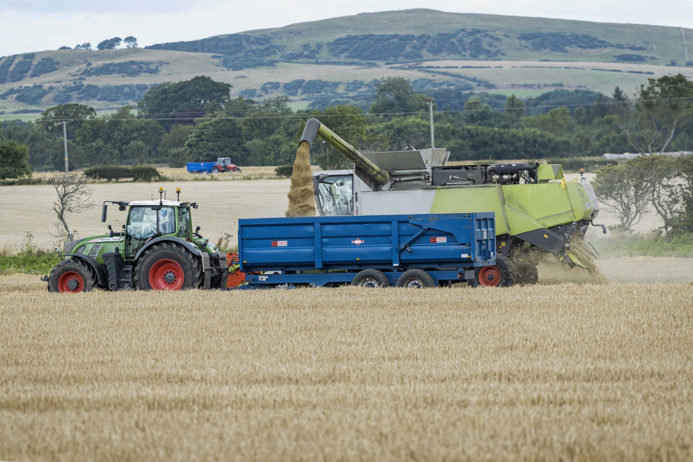 Sunday evening work at St Monans, Fife as the combine gets going in a crop of spring barley (Pic: Ron Stephen)