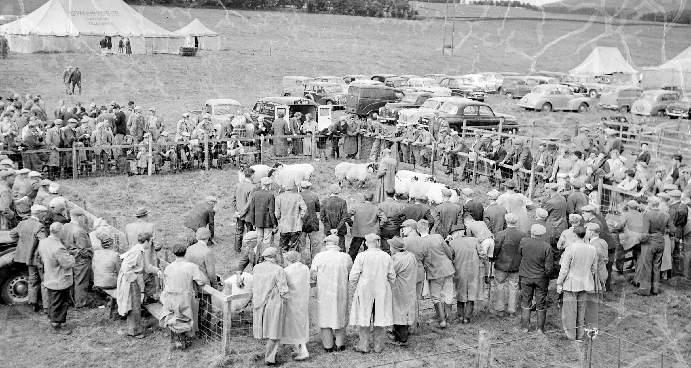 A busy ringside at Abington Show in 1958 – it remains a fiercely contested Blackface championship on the show circuit