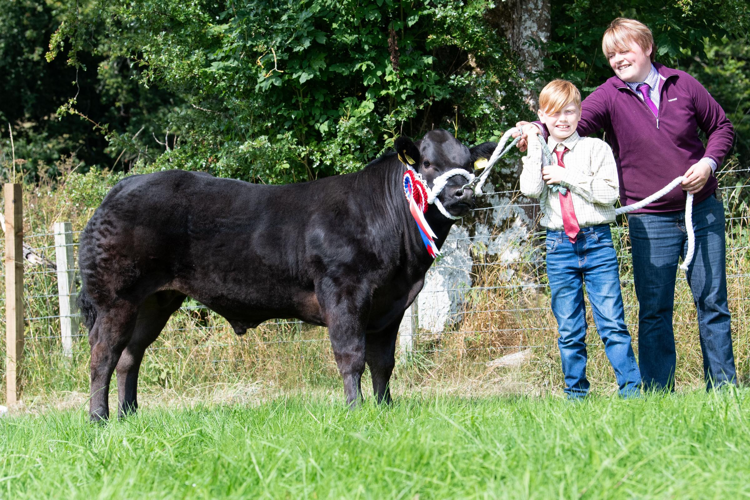 Overall beef champion was the bullock from the Laird family Ref:RH280821032 Rob Haining / The Scottish Farmer...