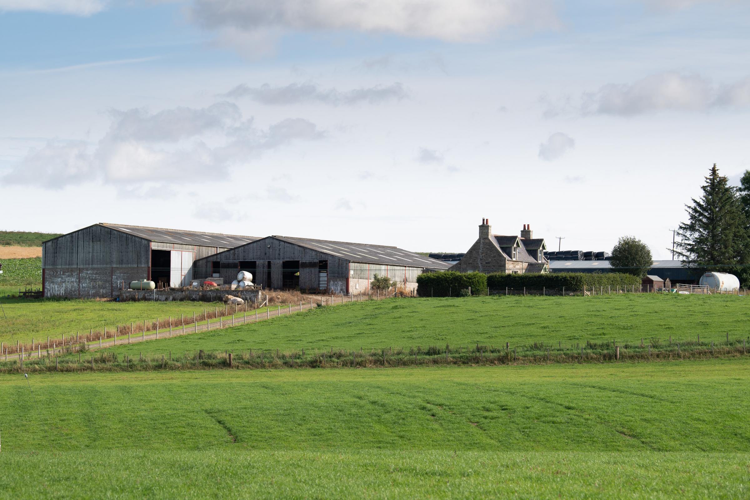 West Cruichie near Huntly, Aberdeenshire Ref:RH060921096 Rob Haining / The Scottish Farmer...