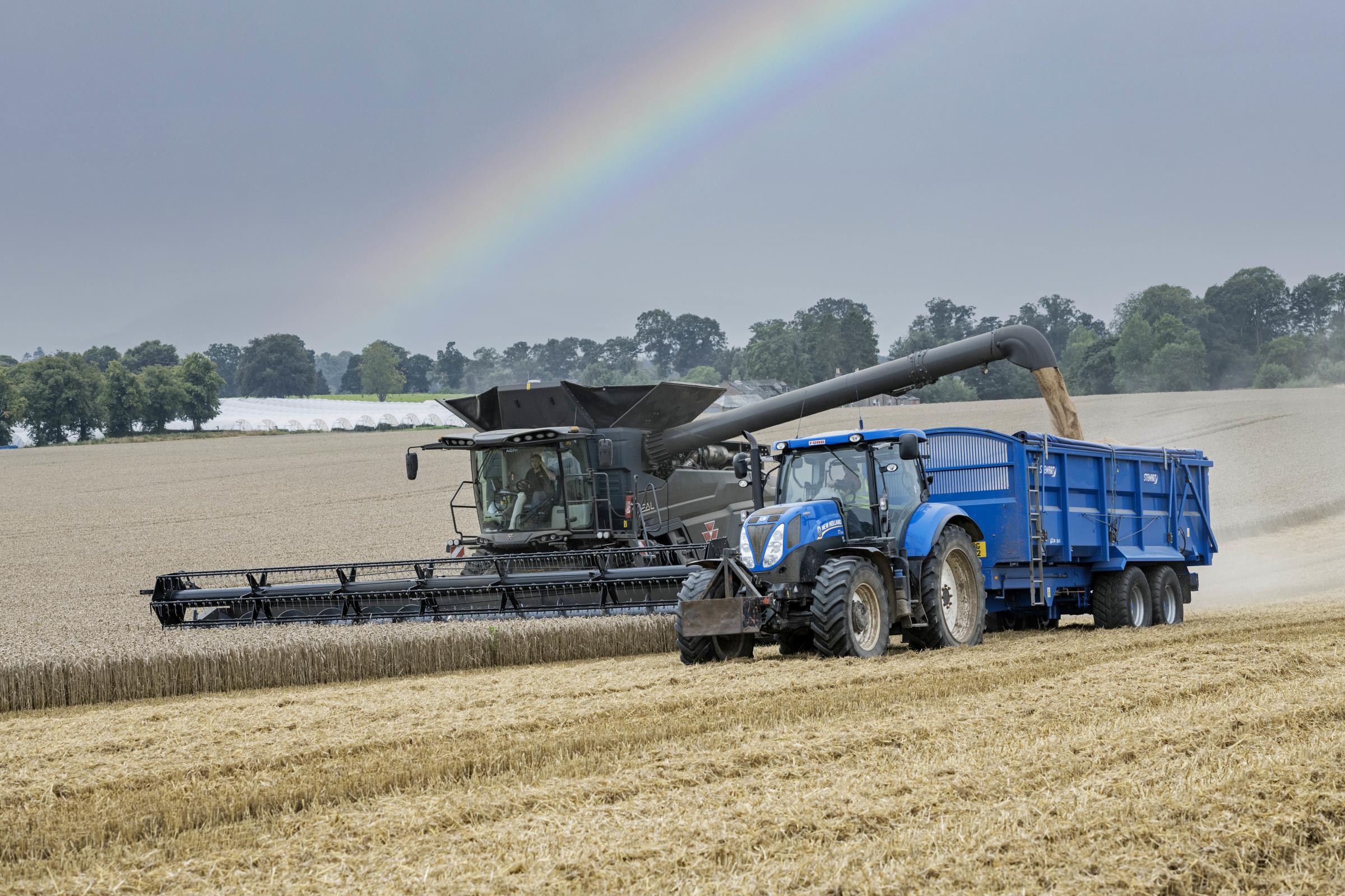 THE end of the harvest at Grewar Farming, Ardler, Perthshire, as this demonstrator MF Ideal Combine takes out the last crop of wheat at Knollhead Farm (Pic Ron Stephen)