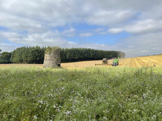 A new peer-to-peer network has been created to showcase agricultural practices designed to combat or mitigate climate change (Pic: Balbirnie Farms)