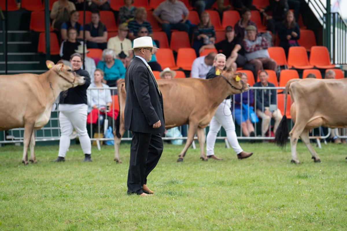 Judge Allan Timbrell having a walk round the ring during the best breed team of four cattle in the dairy section Ref:RH090921069  Rob Haining / The Scottish Farmer...