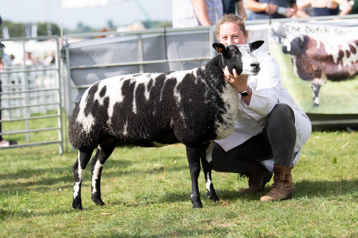 Dutch spotted champion was from Pam Parker Ref:RH080921016  Rob Haining / The Scottish Farmer...