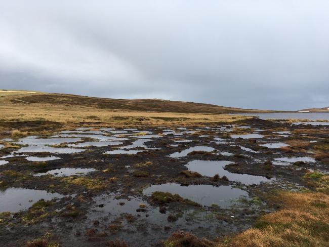 A land manager who engages in peatland restoration may be able to sell the carbon sequestration benefits associated with that activity to another party – but should they? (Pic: Paula Novo)