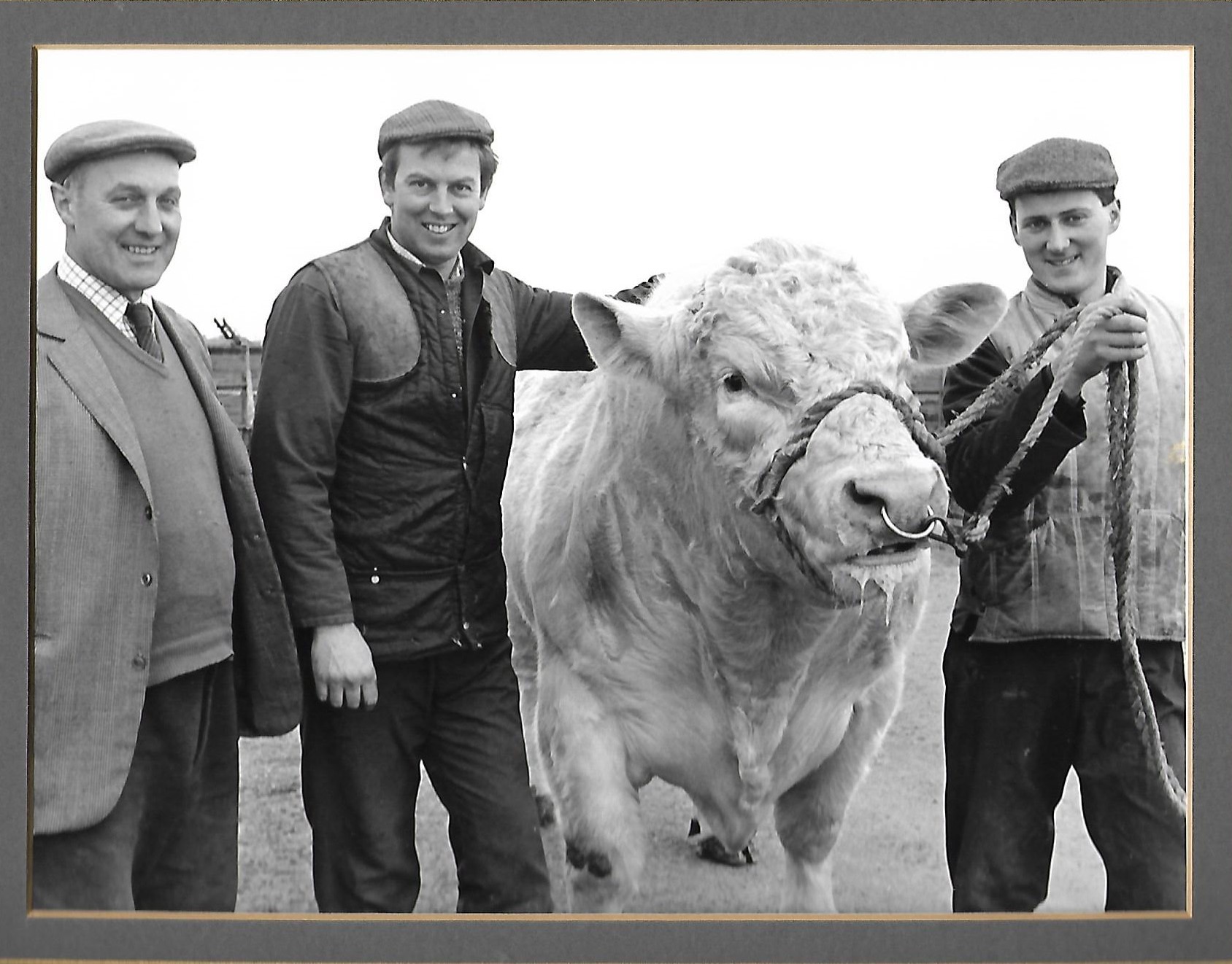 Billy Turner, David Benson and Richard Rettie at the Brampton herd
