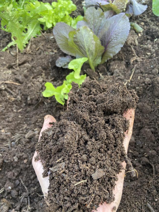 SOIL HEALTH is vital for food production