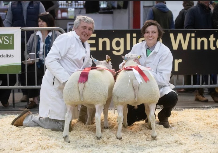 Miss RL Armstrong’s Beltex was supreme amongst the sheep