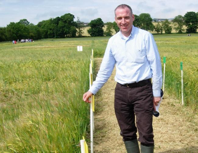 SRUC's Steve Hoad in the summer trials field