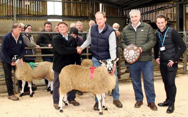 The champion North of England Mule wedder lamb from Joe Throup, Berwick Intake Farm, Draughton which sold for £840
