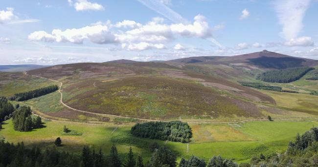 Plans are afoot to undertake extensive peatland restoration work across1800 hectares and new planting over 3000 hectares in Glen Dye Moor in the north-east of Scotland (Pic: Landfor)