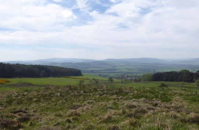 The new strategy will allow FLS to purchase land for commercial conifer or extensive native woodland creation, land suitable for peatland restoration and land that will enhance Natural Capital