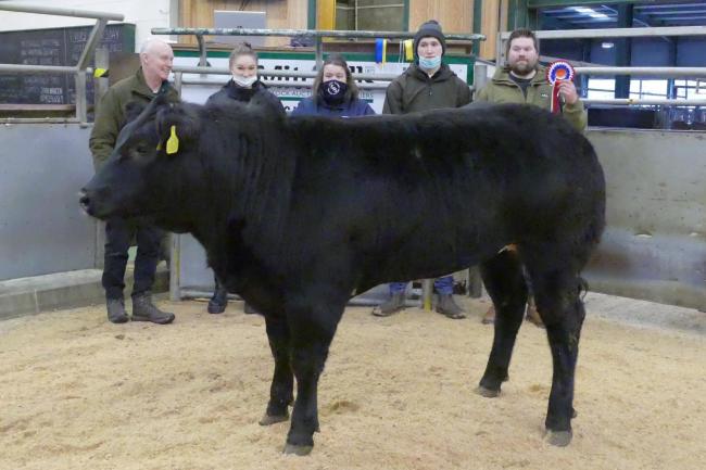 Champion heifer from I Powley, Green Marsh sold for £1800