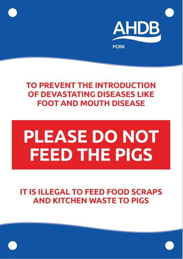 A warning has been issued to remind people not to feed pigs waste food in order to help prevent African Swine Fever entering the UK pig herd