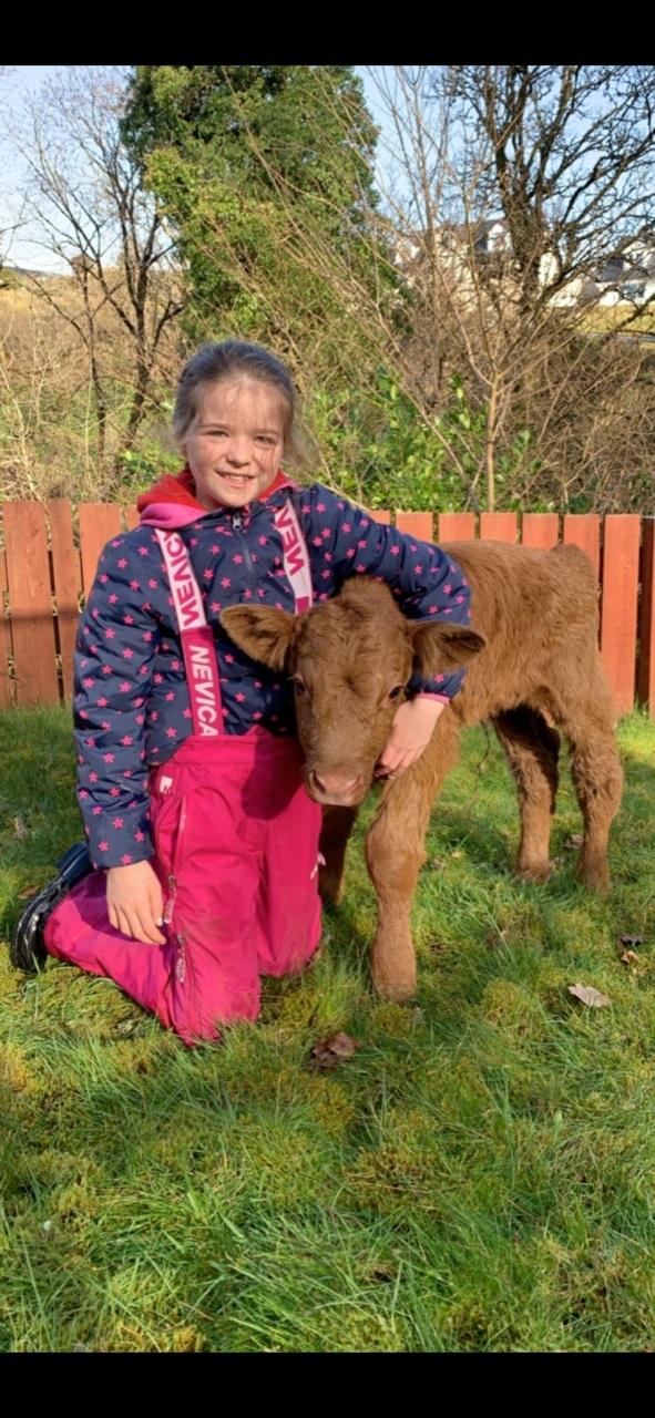 Marion MacLean - Sienna Munro, Age 10 with her pet calf Phoenix earlier in last year.