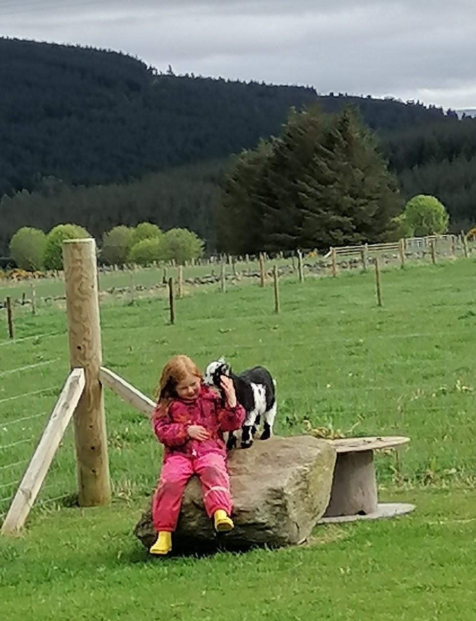 Sam McCombie - Molly getting kisses from her pygmy goat Kid Everest.