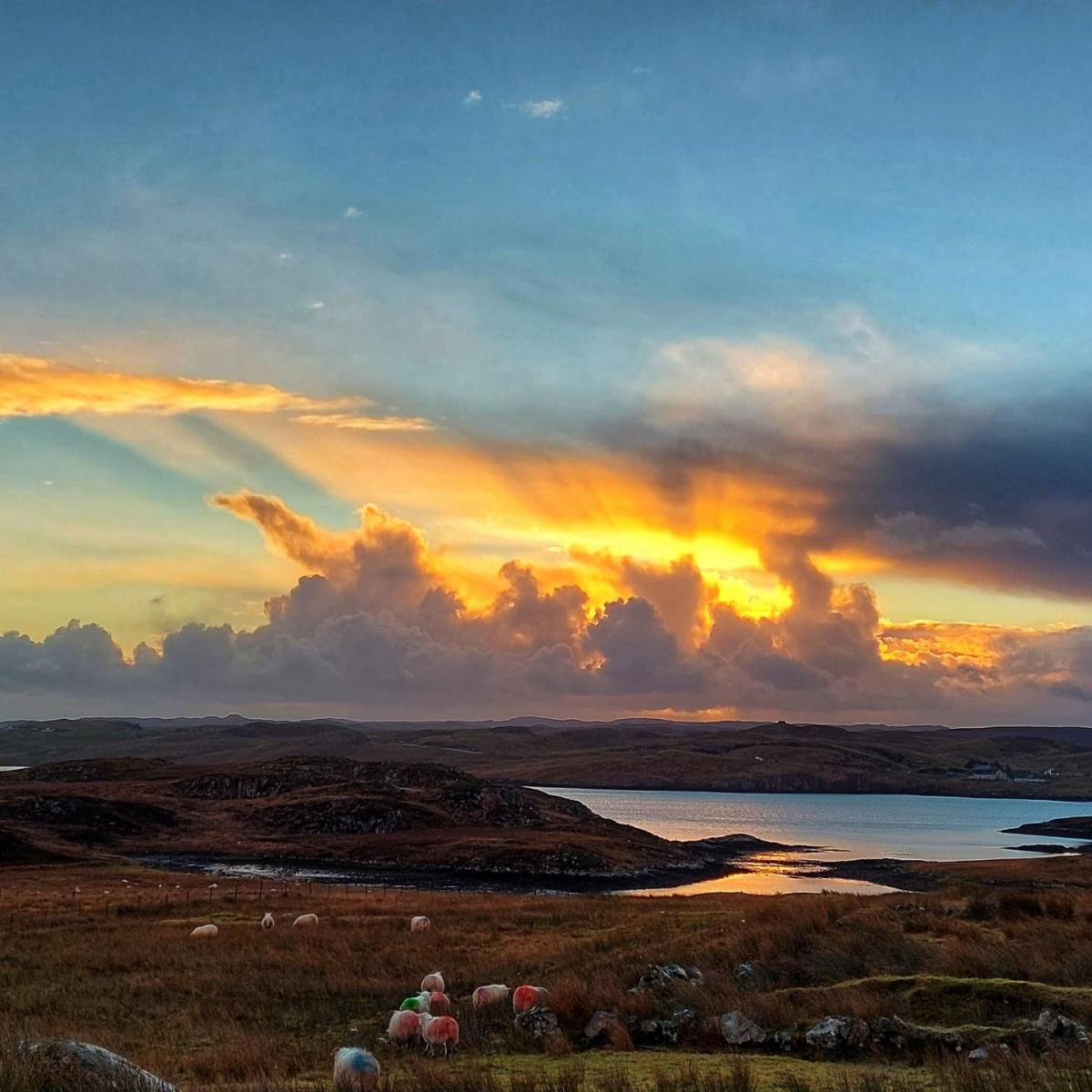 Ruth MacDonald - The morning after the high winds, in Laxay, Isle of Lewis.