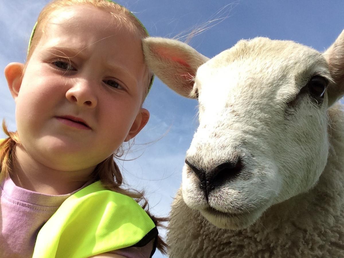 Karen Law - Brooke taking selfie with their Granny & Granda’s pet lamb Babybel.