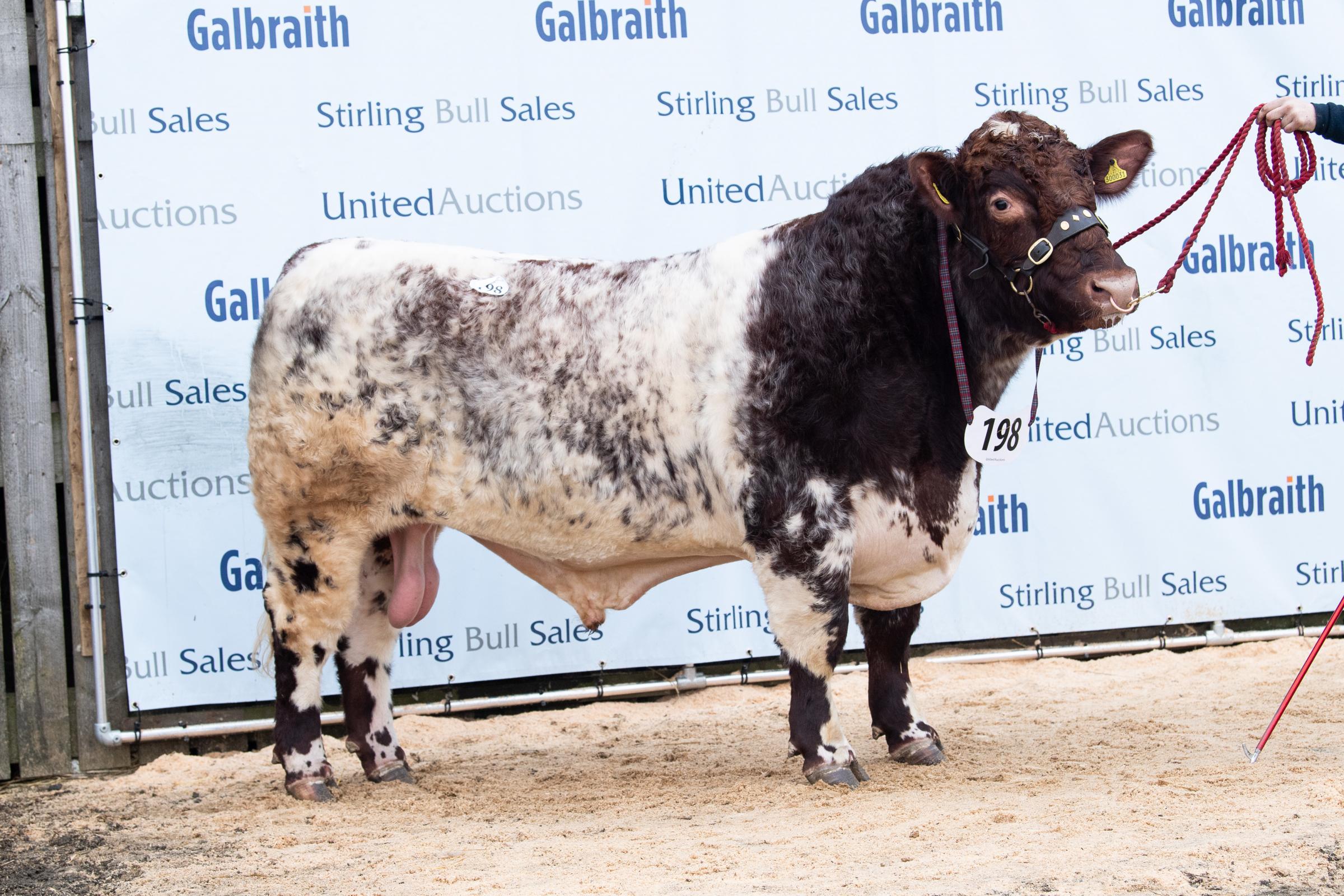The Lowthers sold Lowther Picasso for 8500gns Ref:RH070222103 Rob Haining / The Scottish Farmer...