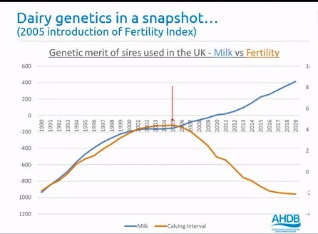 Dairy genetics