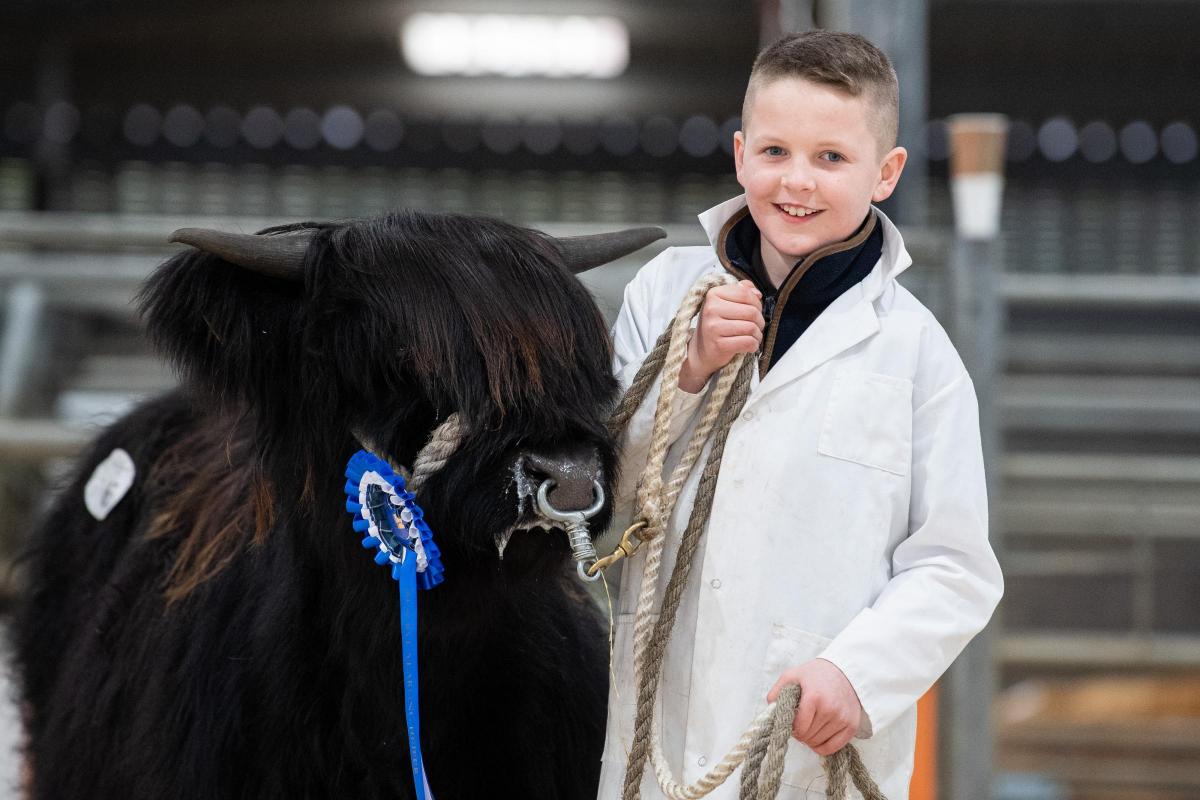 Ethan Braines took the young handler top ticket  Ref:RH140222069  Rob Haining / The Scottish Farmer...