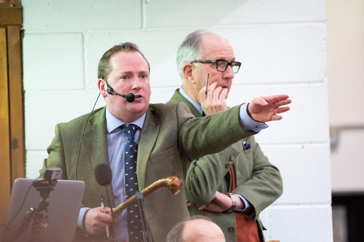 Auctioneer Raymond Kennedy taking bids during a busy sale of Highland cattle at Oban where a new breed record was set at 27,000gns  Ref:RH140222058  Rob Haining / The Scottish Farmer...