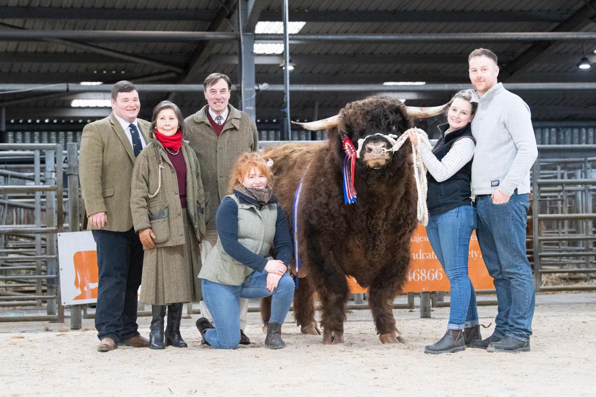 New breed record of 27,000gns for Angus 2nd of Sorne, (L-R)  Stuart Campbell, Jon and Queenie Strickland, Jordan Headspeath, Stacey Gibson and Robert Fletcher   Ref:RH140222078  Rob Haining / The Scottish Farmer...
